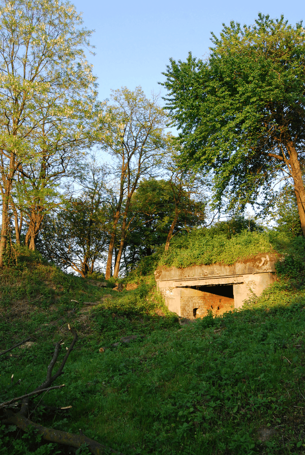 Fort III Łuczyce