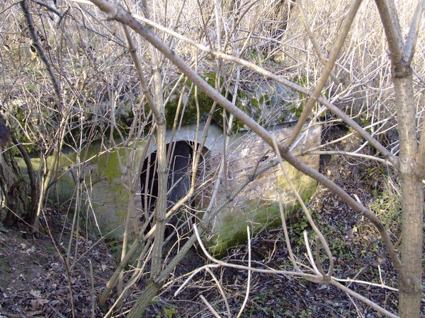 Fort IV Optyń