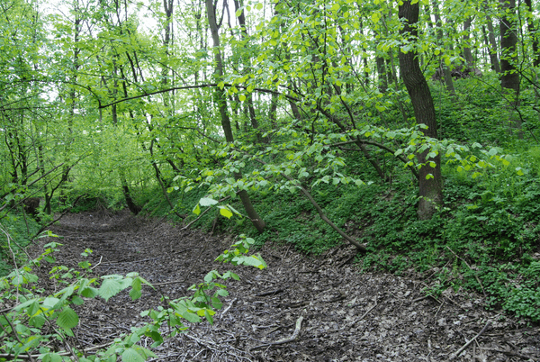 Fort XVIII Lipowica