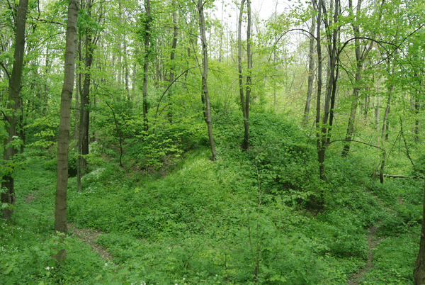 Fort XVIII Lipowica