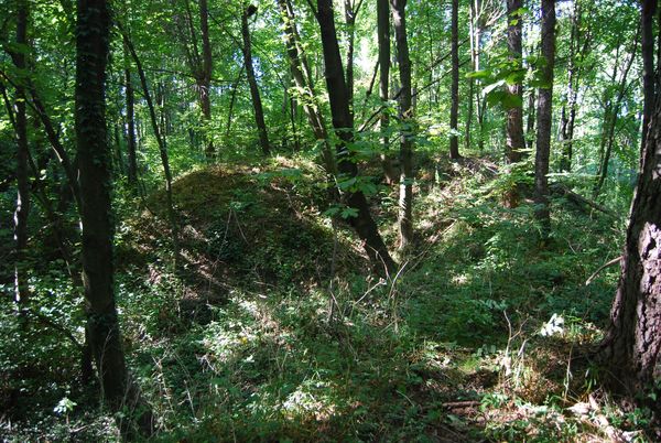 Fort XVIII Lipowica
