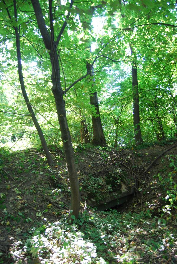 Fort XVIII Lipowica