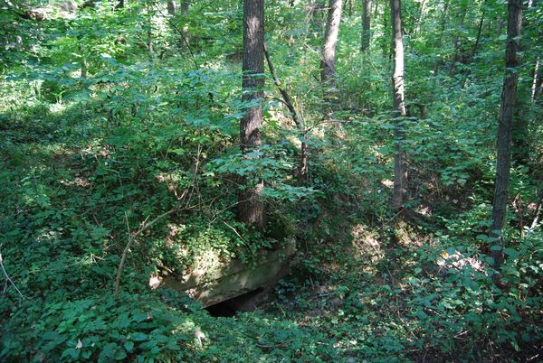 Fort XVIII Lipowica