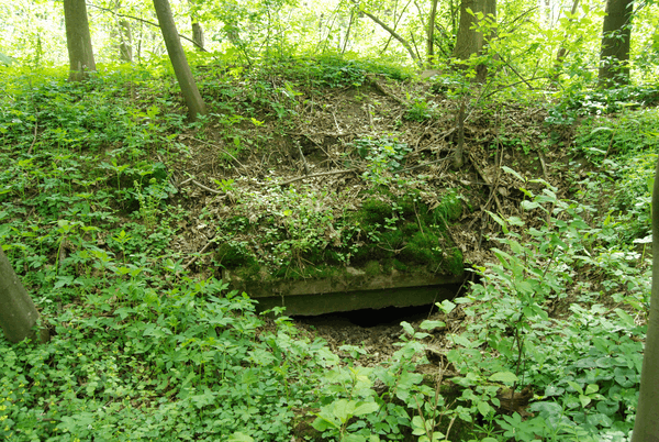 Fort XVIII Lipowica