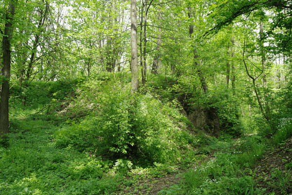 Fort XVIII Lipowica