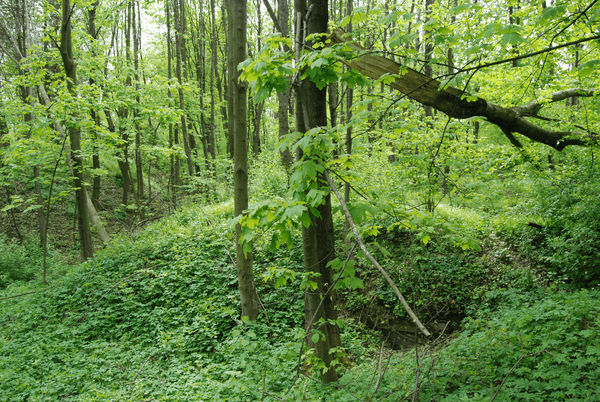 Fort XVIII Lipowica