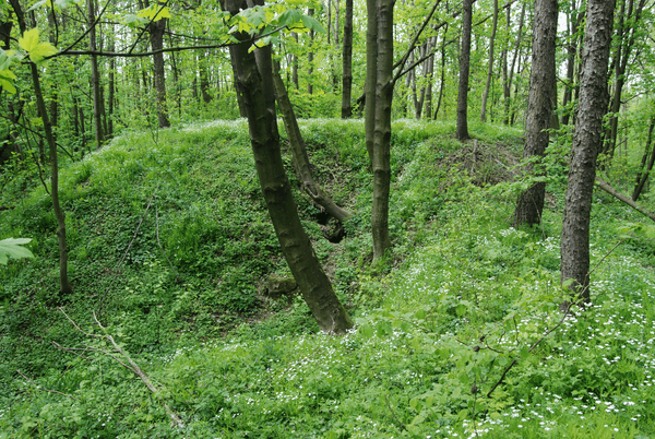 Fort XVIII Lipowica