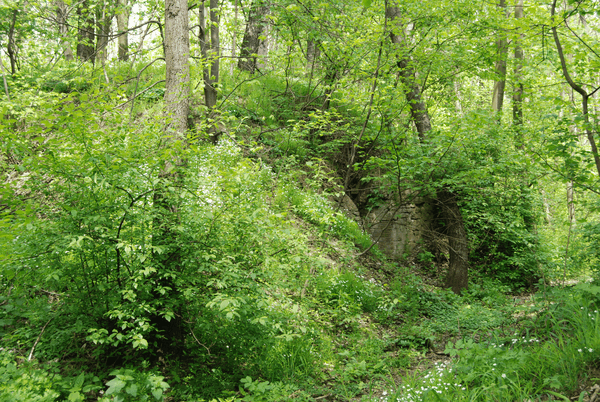 Fort XVIII Lipowica