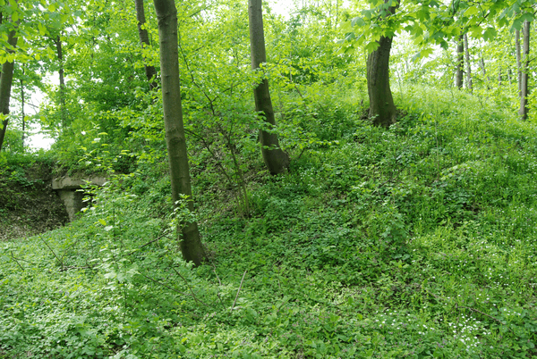Fort XVIII Lipowica