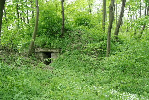 Fort XVIII Lipowica