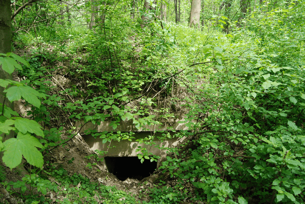 Fort XVIII Lipowica