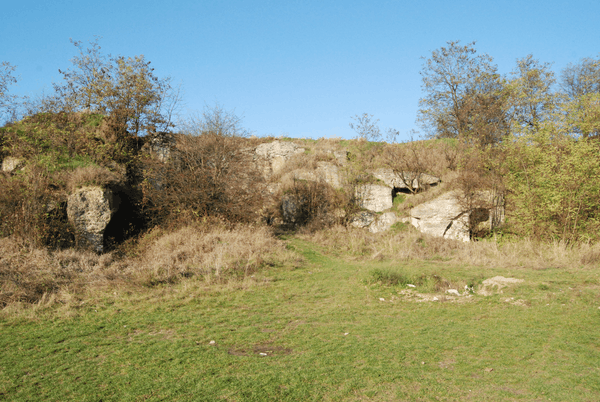 Fort X Orzechowce