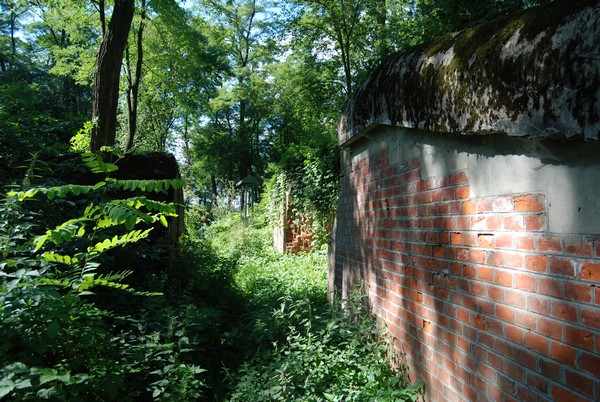 Fort XIIIa Zabłocie